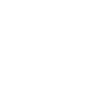 Pegasus Direkt